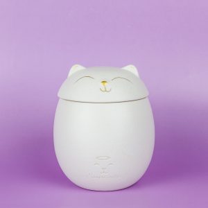 Pet Gato Blanco