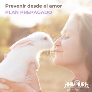 Plan prepagado